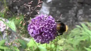 Oster&oslash;y - sommerstemning