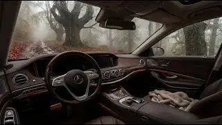 Rainy Forest Drive in a Luxury Car 🌧️🚗 | 4K Cozy Ambient Sounds | 2 Hours of Calm & Focus