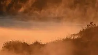 毛嵐の立つ多摩川12/7