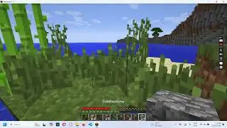 minecraft java edition survival