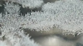 Macro timelapse of water vapor deposition to ice crystals (16x) and melting (2x)