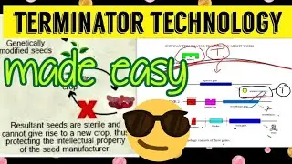 Terminator Technology ||made easy😎🔥