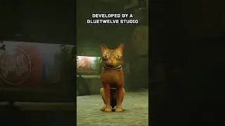 THE BEST CAT GAME EVER?! STRAY IS THE PURRFECT ADVENTURE