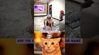 SALAT SAVES YOU FROM BOTH WORLD 🗿 #funny #cat #dance #shorts