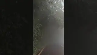 Beauty of Wayanad# trave mood#misty  roads#Kerala#India#nature &hearts;️