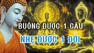 Lời Phật dạy : Hết khổ khi dừng hơn thua 