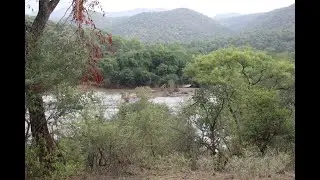 Dabguli & Uganiam