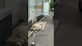 Едем по Карелии. Докладываю