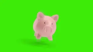 Golden coins falling into a piggy bank green screen footage | 4K footages | GreenScreen Vfx