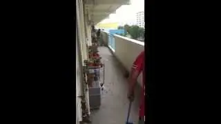 Cockroaches infestation in Eunos Crescent