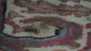 Rug Cleaning Los Altos CA 408 836-2137