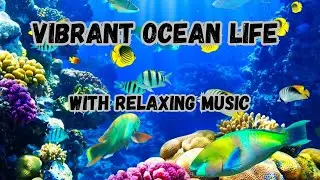 Vibrant Ocean Life with Relaxing Music