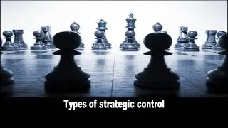Types of strategic control