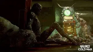 MULE KICK BREAKDOWN / COLD WAR ZOMBIES