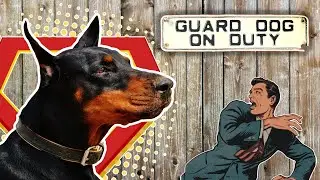 Watch Dogs VS Guard Dogs VS Protection Dogs / What's The Difference?