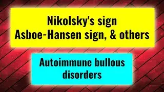 Nikolsky sign, Absoe-Hansen sign in bullous disorders (Autoimmune bullous diseases part 5)