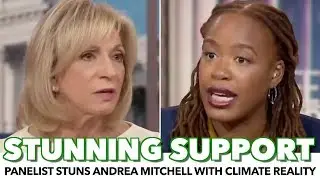 NBC Analyst Stuns Andrea Mitchell By Supporting A Green New Deal