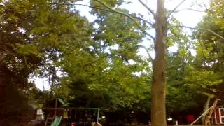 37 second video