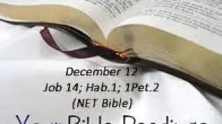 Your Bible Readings for December 12