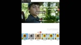 How to use flipagram
