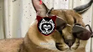 Spikecat - Phrygian Floppa