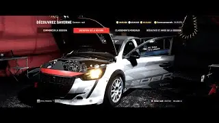 ASSETTO CORSA RALLY - PEUGEOT 208 - SAVERNE : NIGHT - 04:39:391 - Can i do better ?!