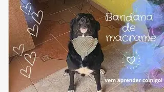 Tutorial bandana de macramê para pet