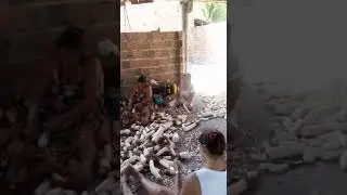 As Mulheres da casa de farinha Jacarecoara