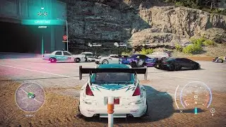 Cop Intervention After Aardvark