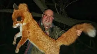Problem Fox shooting