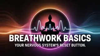Breathwork Basics: Your Nervous System's Reset Button | MELT: Hot Yoga Hot Takes