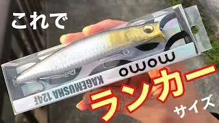 【カゲムシャ124F】ランカー級のシーバスがメガバスカゲロウKAGELOUのパクリルアーで釣れた日　2021年10月19日