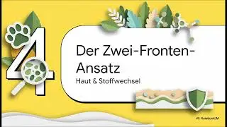 Hundeallergien: Zell-Reparatur