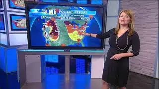 Good Morning America - fill-in October 2013