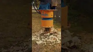 Here's one way to get rid of your neighborhood stumps