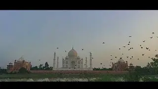 Golden Triangle Tour | Jaipur - Agra - Delhi | Shot on One Plus 5t | Cinematic Tour