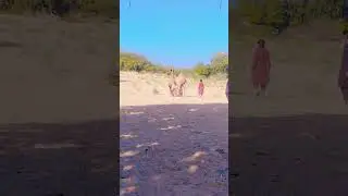 #camel #entertainment #animals #nature #shorts