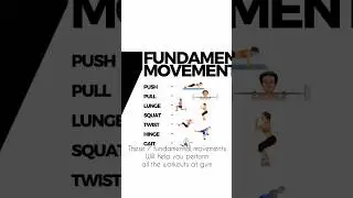 7 Fundamental Movements to master any workout in gym !