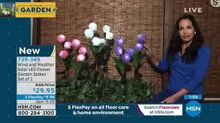Wind and Weather Solar LED Flower Garden Stakes  Set of 2