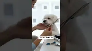 ✂️ Профессиональный уход, никакого стресса 🐾✨
