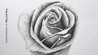 Drawing a Rose With Pencil - Time Lapse