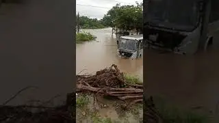 Bus in Water 💦 at Bhavnagar Gujarat l  Heavy rain 🌧️☔