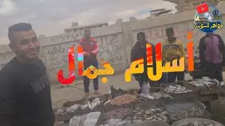 @ أكل العيش والتعب له رجاله .لعشاق السمك .شاب مجتهد ورغم الطقس البارد . بشارع النيل 01282357772