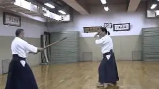 Yagyu Shin Kage Ryu