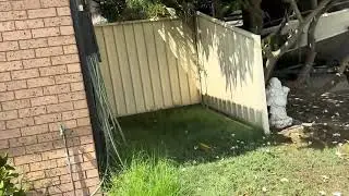 Street View Pre Settlement Inspection - 3 Stockman Place, Werrington Downs, NSW 2747