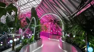 Riyadh Oases - FoodSphere