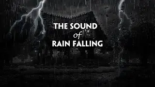 Rain sounds with soft birdsong for relaxation and mood improvement