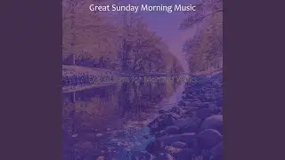 Calm Music for Music