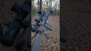 BUDGET M110A PSA Sabre AR10 POV