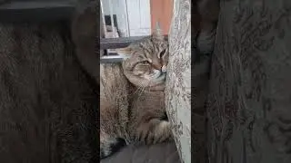 Марсик как сыр в масле))
